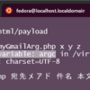 XREAサーバで php myGmailArg.php しても引数認識しない（Undefined variable: argc in...）となるのの対処