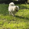 山登り…したいのに…