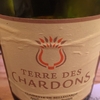 Clairette de Bellegarde 2010 Terre des Chardons