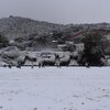 楽しい雪の朝