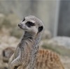 何年ぶりかの動物園〜無料って凄いな〜