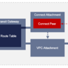 AWS TGW Connectアタッチメント接続のCFnカスタムリソース作成