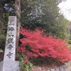 福岡県の紅葉名所「呑山観音寺」の魅力とアクセス情報