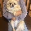 狂犬病予防注射に行ってきました