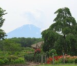 富士山樹空の森レビュー！レストラン、駐車場、公園の詳細！