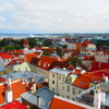 【エストニア】世界遺産の町タリンをお散歩