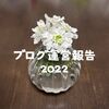 ブログ運営報告2022＜収益・読まれた記事ランキング＞