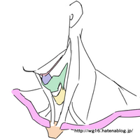 箱と円筒で描く 骨から描く を買いました ふわっとした感想 モルフォ人体デッサンミニシリーズ お絵描きとかするところ