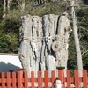 芽吹く