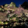 椿山荘の庭。