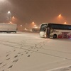 雪降ってます！