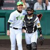 阪神タイガース（2023）ロッテ戦～令和の怪物に投げ勝つ形で完封勝利～【プロ野球】