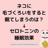 なぜ、ネコに毛づくろいをすると眠てしまうのか？