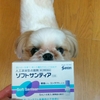 参天製薬のソフトサンティアを犬用に使ってます