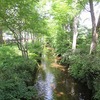 玉川上水_もみじ橋（東京都武蔵野市）
