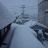 新年は雪とともに