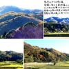 低山紅葉にはちょっと遅かった