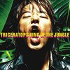 和田唱はTRICERATOPSの歌詞でどれだけ語尾に「のさ」があるのか知りたいのさァ