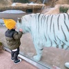 動物園