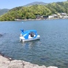 河口湖周辺の子連れ水遊びスポット 大池公園