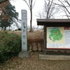 管領 畠山氏