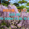 「EOS R5 + RF70-200㎜ F2.8L IS USM」で秋田の藤とツツジを