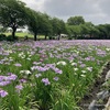 赤堀花しょうぶ園