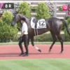 新潟競馬8R パドック直前予想◎12 ポレンティア がんばれぇぇぇぇぇえ！！！！