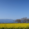 守山なぎさ公園