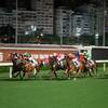 2018香港ヴァーズ・香港スプリント・香港マイル・香港カップデータ予想～外国馬参考レースあり〼