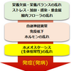 オーソ モレキュラー療法とは？初心者ブロガーが栄養療法受けてみた！