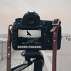 [ Books Channel Photo ALBUM 2021 | 2021年05月21日号 | お客様のお側にいつでもBooksChannel…羽ばたく鳥を撮るVersion | #本好きな人と繋がりたい #本が好きな人と繋がりたい #読書好きと繋がりたい 他 | 