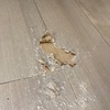 【自閉症児】また床がボロボロになった