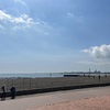 （2023年）今年の城南島海浜公園は潮干狩り期待できないかもしれません