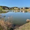 みやぞの野鳥の池（千葉県流山）