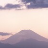 銭失い／マネー2025・１