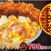 かつや『海鮮たまごチキンカツ丼』食って夏しようぜ