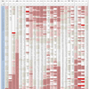 新型コロナウイルス、国別・人口あたり新規感染者数（8月4日現在） / List of COVID-19 cases per population by country, as of August 4