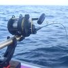 狙うは大鯛、カモシ釣り Part2