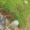 TRY瞑想 991日目
