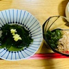 【逗子海岸】ワカメ拾いと春の海｜旬を味わう宅飲み