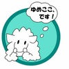 ゆめここ第94回の2、開催します