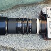 【オールドレンズ】テレコンMC-7でTAMRON 90mm F2.5 52BBを180mm単焦点等倍マクロ【α7C】