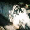 日々の写真 2023 vol.8／GFX＋ROKKORを中心に
