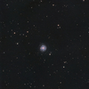 こじし座の銀河 NGC3344