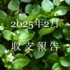 収支と金融資産（25年2月）