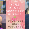 【ちいかわ　アクリルネームタグ】全7種類！うさぎが出るまで回してみた！（どこで売ってる？通販は？タグの色でキャラを勘違いしないように注意して！）