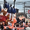 色んな風景～堺・大鳥大社　だんじり祭り～