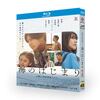 海のはじまり DVD ブルーレイ Blu-ray BOX 