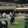 東京競馬2R パドック直前予想 ◎7 ウインカートゥーン